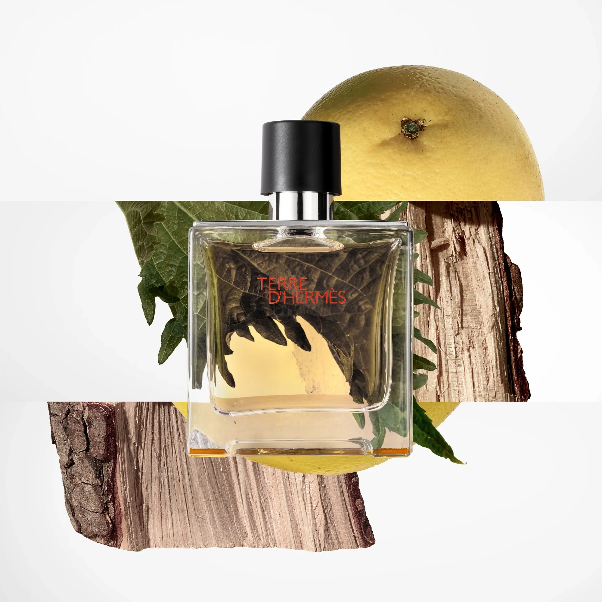 Hermès Terre D’Hermès EDP For Him - 75 ml