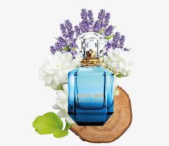 Roberto Cavalli Paradiso Azzurro EDP For Her - 75 ml