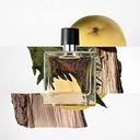 Hermes Terre Dhermes Pure Perfume For Him - 75 ml