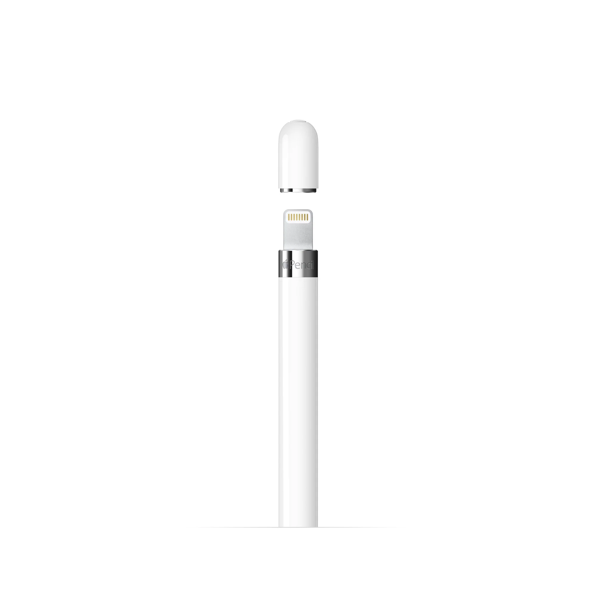 Apple A1603, Apple Pencil (1st Generation)
