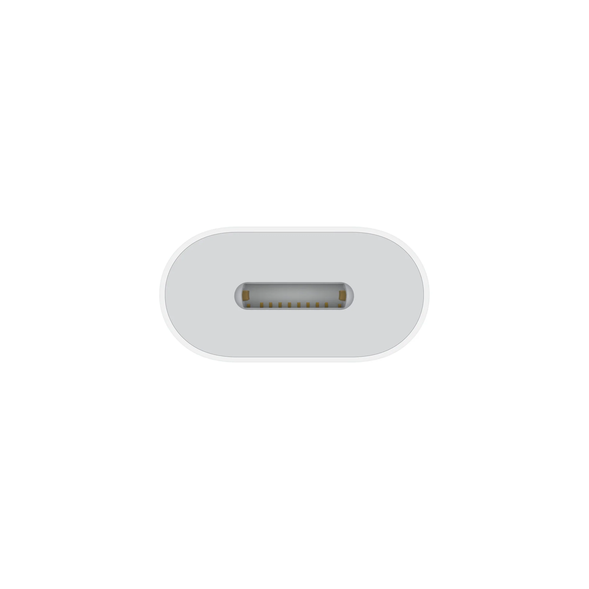 Apple A2868, USB-C to Lightning Adapter