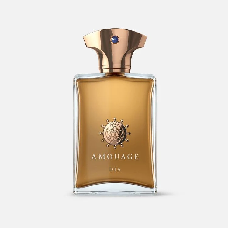 AMOUAGE DIA EDP 100 ML POUR HOMME