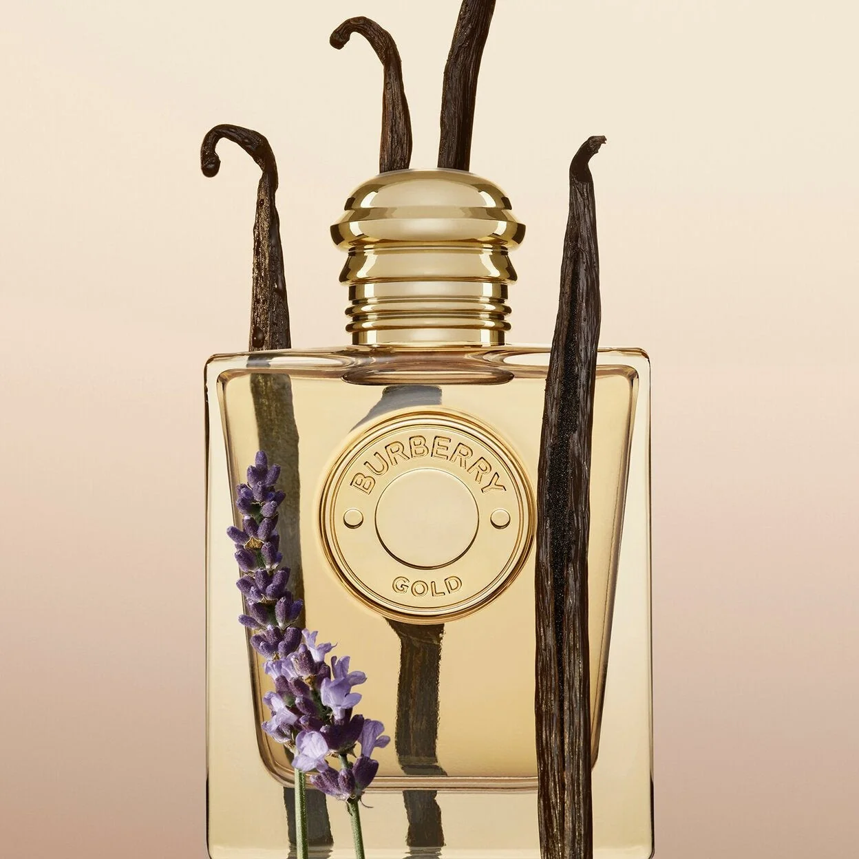 Burberry Gold - Eau de Parfum For Her - 100 ml