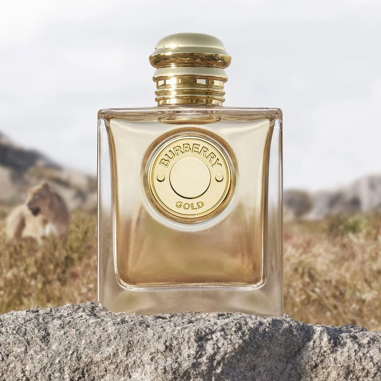 Burberry Gold - Eau de Parfum For Her - 100 ml