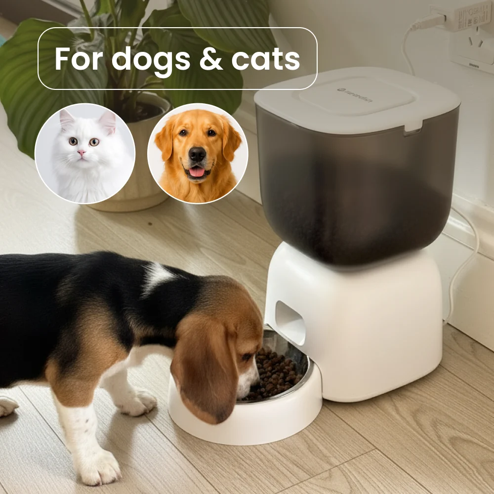 NOERDEN PetPlate Smart Pet Feeder