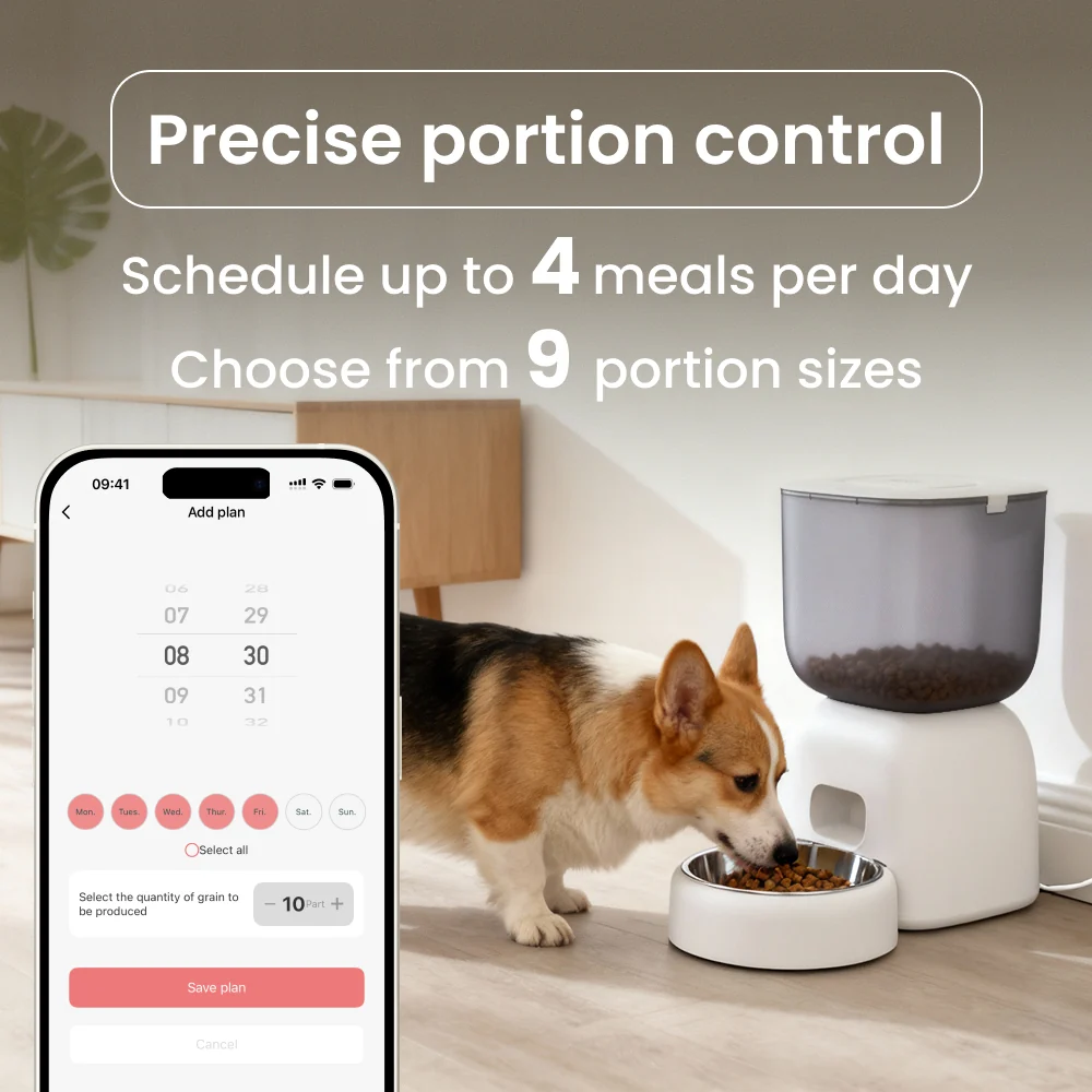 NOERDEN PetPlate Smart Pet Feeder