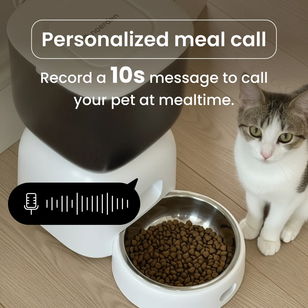 NOERDEN PetPlate Smart Pet Feeder