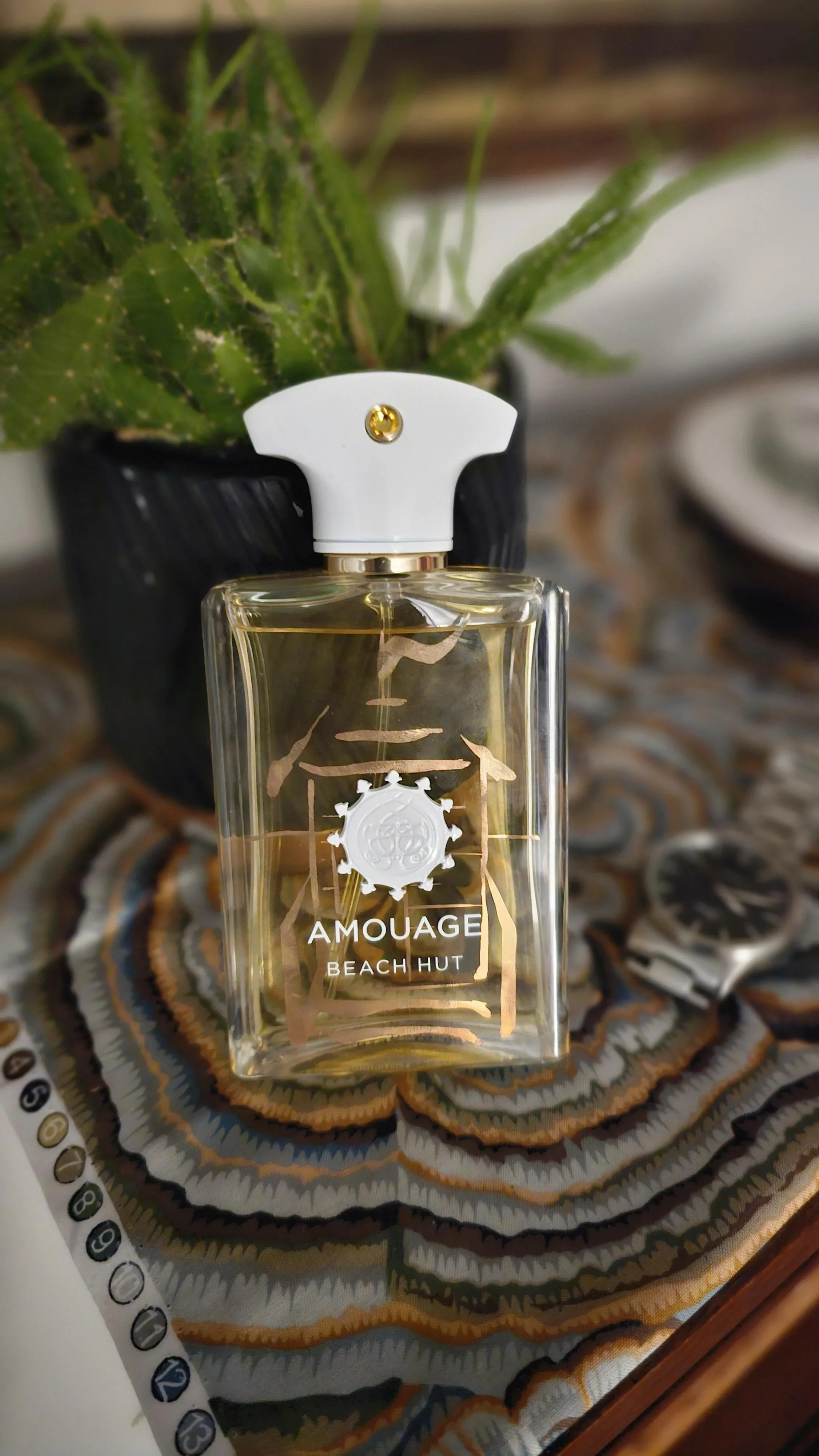 1st-impressions-of-amouage-beach-hut-man-v0-1p58zzvleezd1.webp
