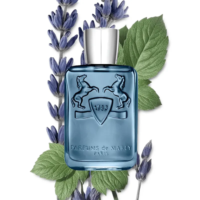 imgi_62_SEDLEY-PERFUME-125-PACK3-1X1_2_ac95585e-ab28-4190-9d78-cd0ba142bae0.webp