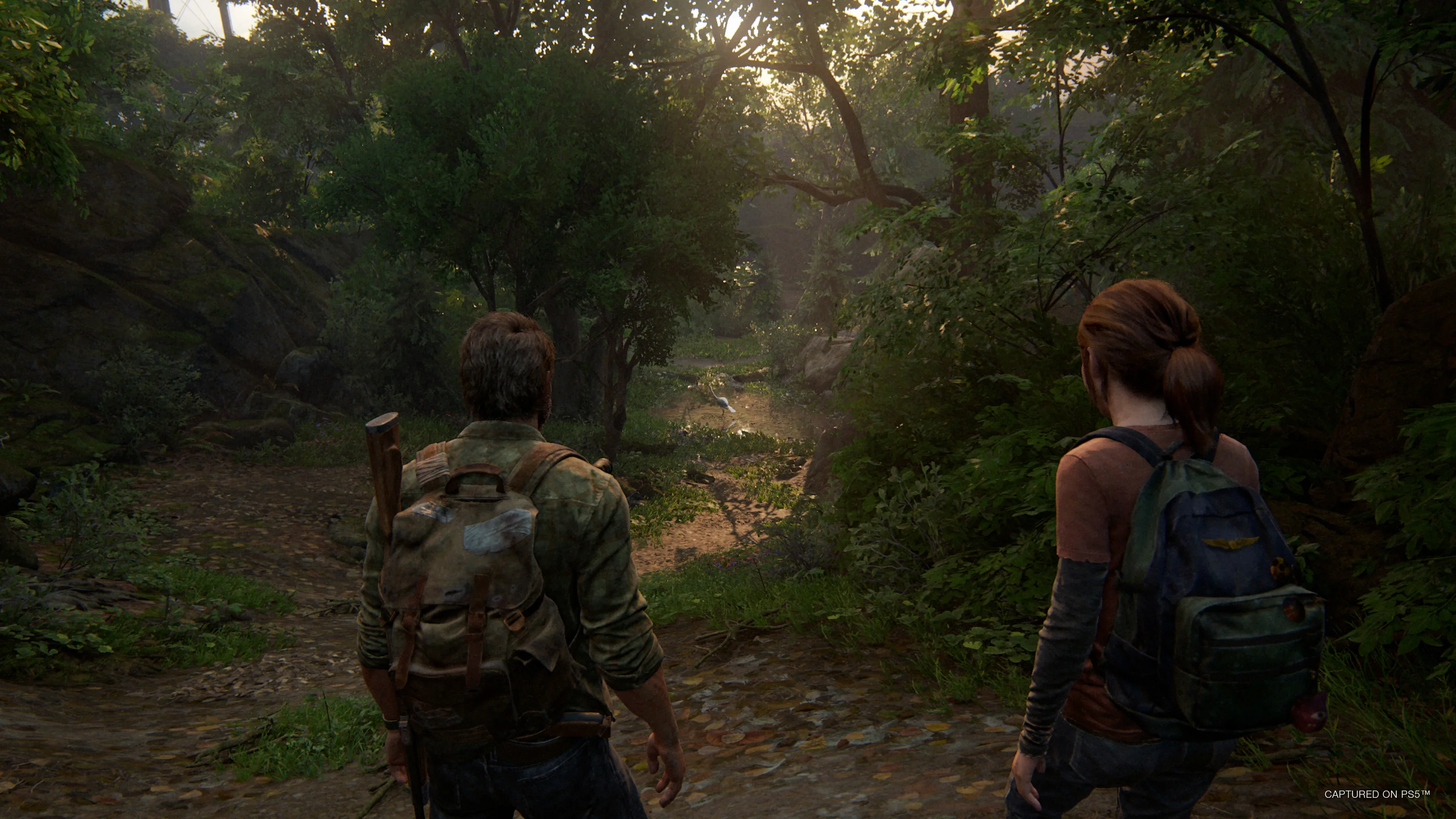 Sony PS5, The Last of Us Part I Remake, PlayStation 5