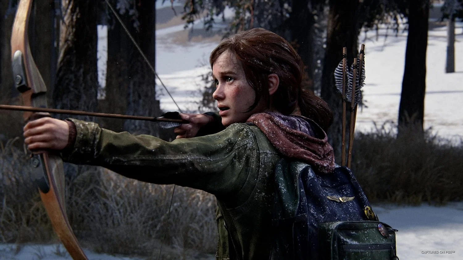 Sony PS5, The Last of Us Part I Remake, PlayStation 5