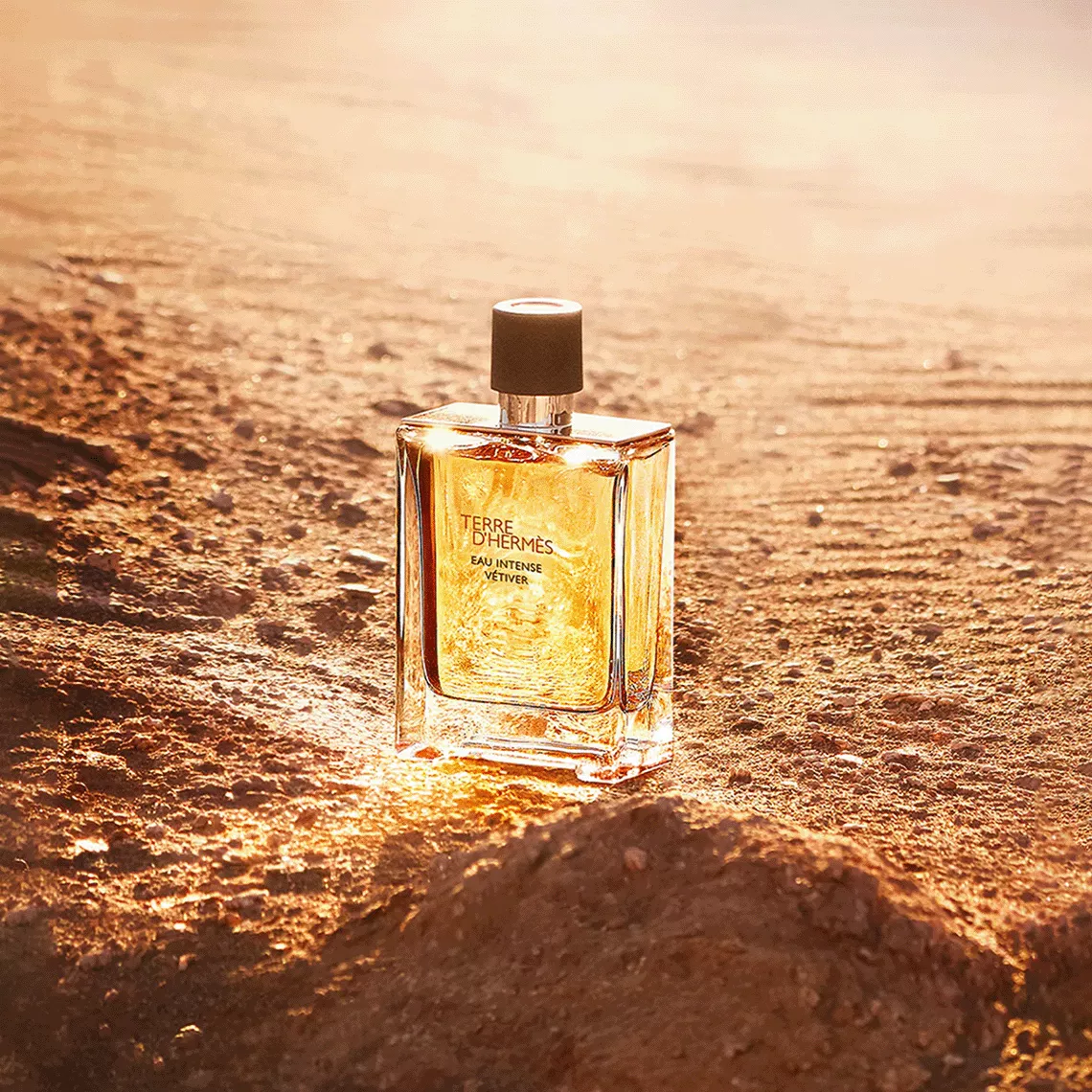 terre-d_hermes-eau-intense-vetiver-perfume-by-hermes-edp-for-men-200-ml-2-0acfe862.webp