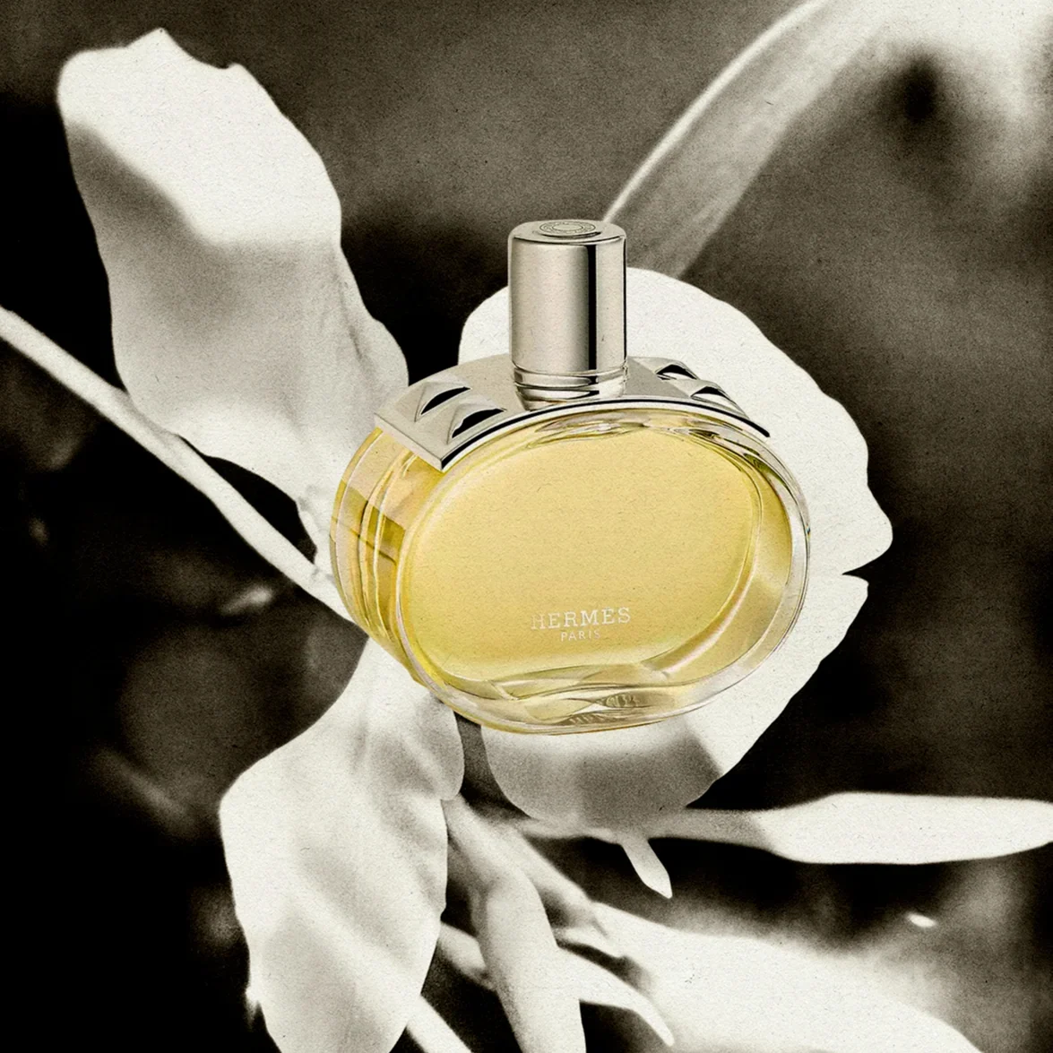hermes-perfume-66ea5438af7c9.webp
