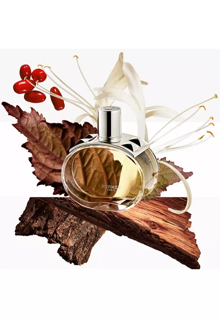 hermes-5547-4355427-2.webp