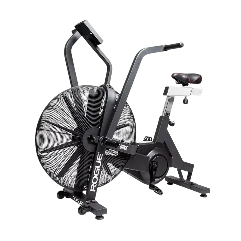 [RFG-IP0895-0] Rogue Echo Bike V3.0 – Black