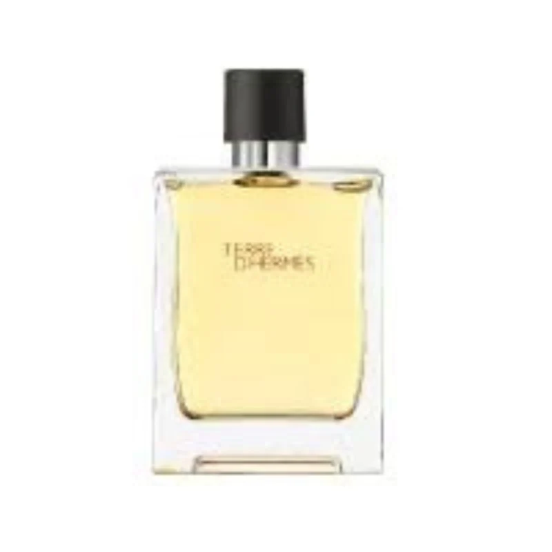 Hermes Terre D'Hermes EDT For Him - 100 ml