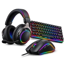 Gaming Accessories